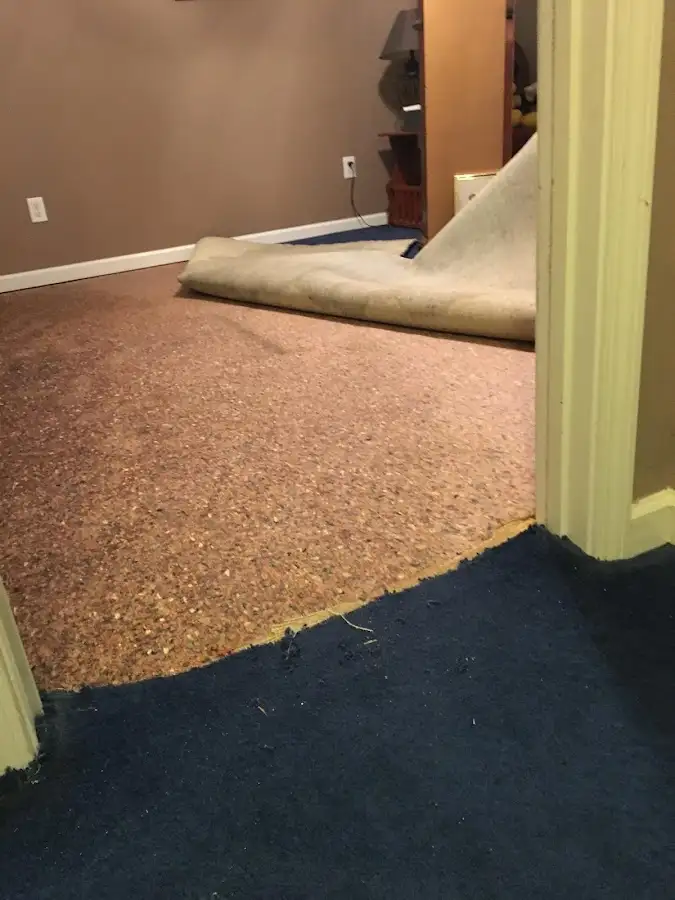 Carpet pad removal revealing water damage during Drying & Dehumidification in Randolph
